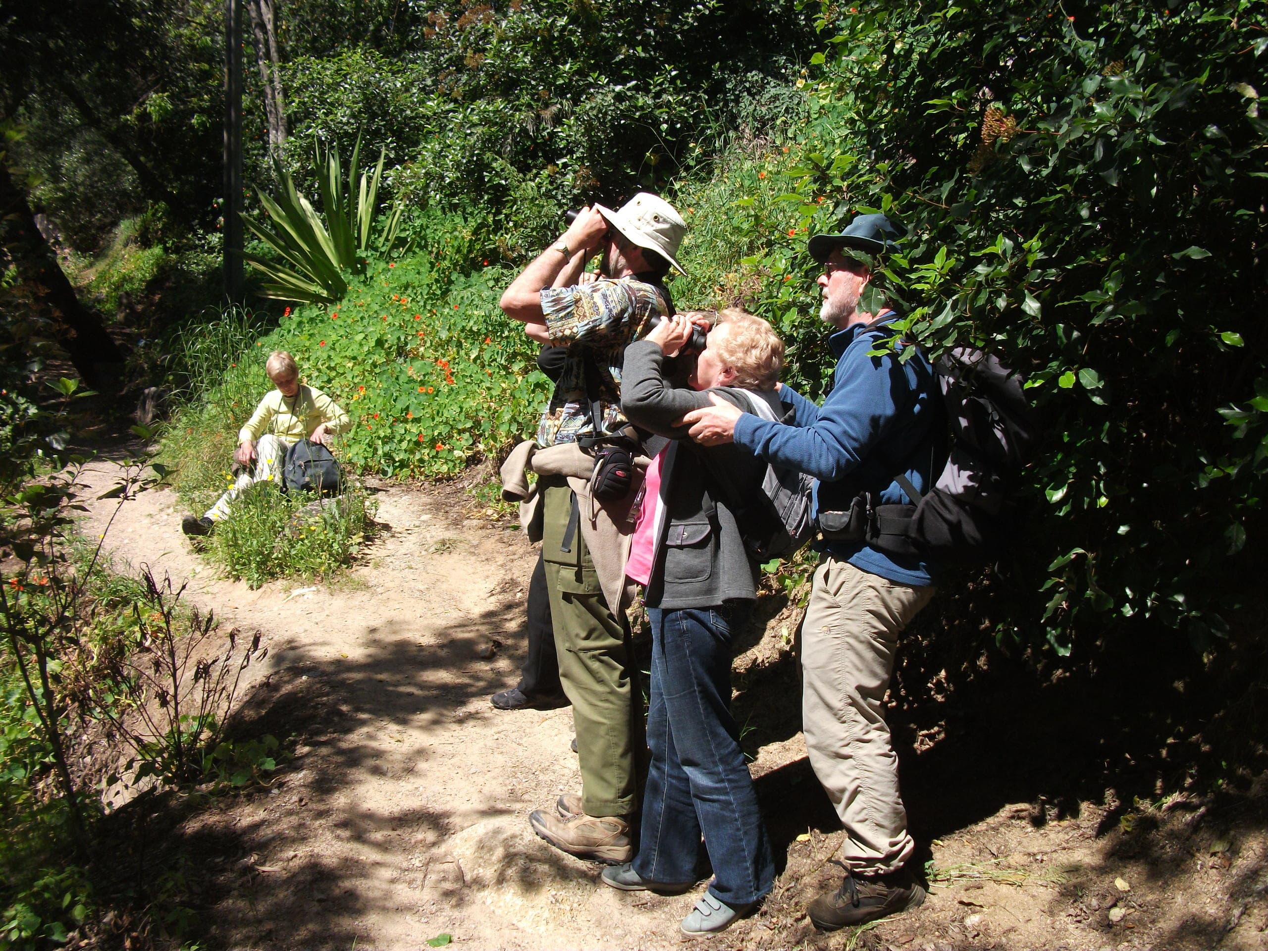 Birdwatching in Monchique with A Rocha Life in Algarve