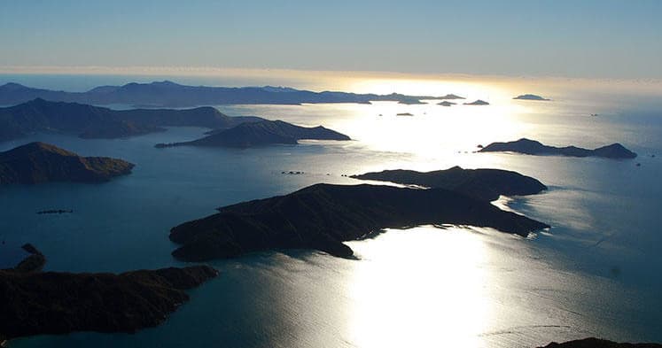 Water & Wilderness Scenic Tour by Pelorus Air in Marlborough Sounds