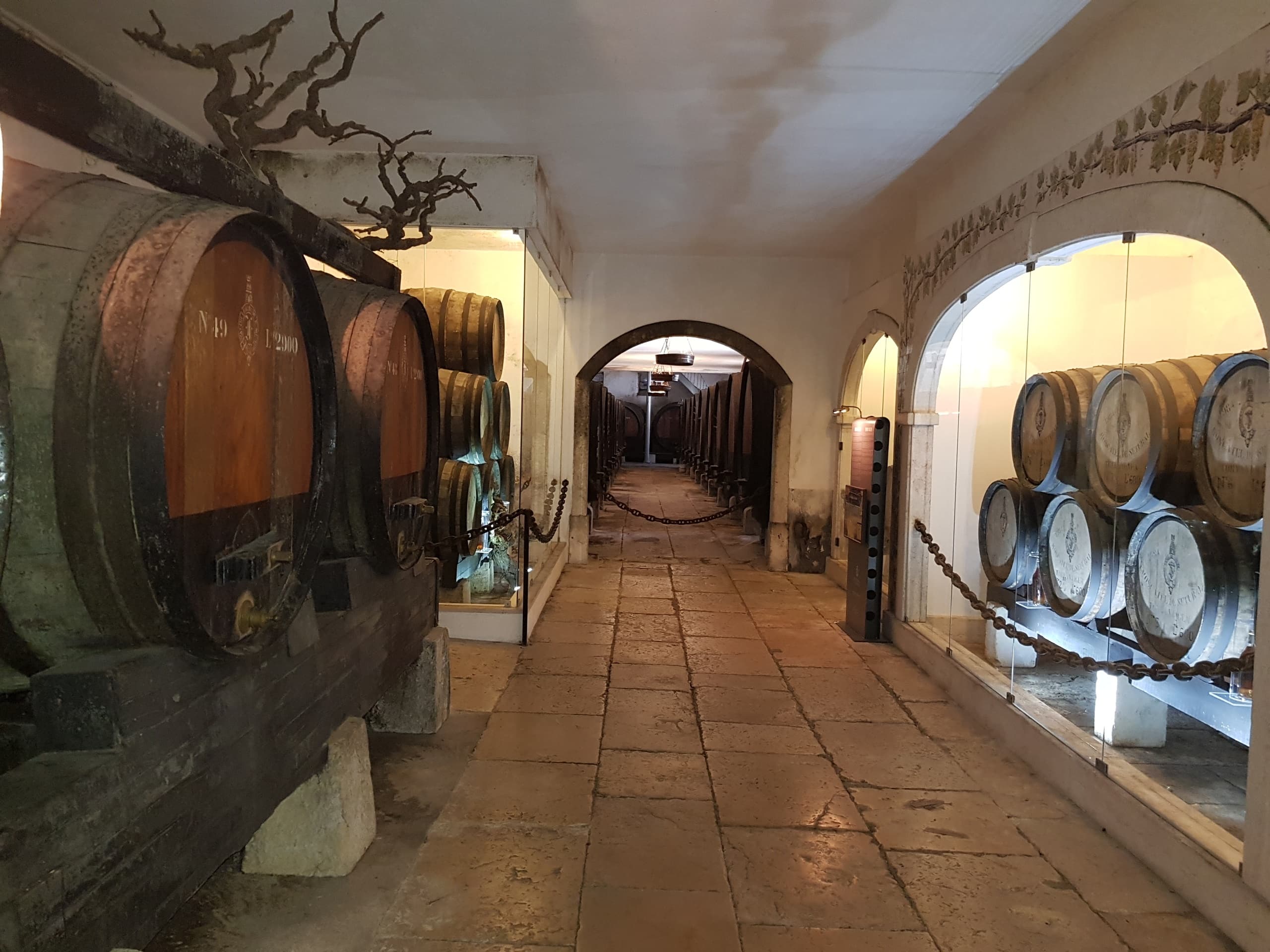 Exclusive Arrábida Wine Experience with Lisbon on Wheels