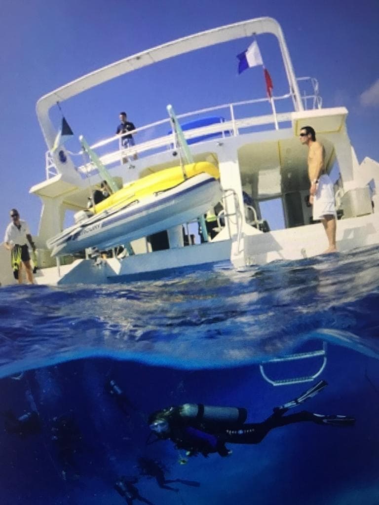 Private Catamaran Charters with Sea Spray Cruises in Saint Lucia