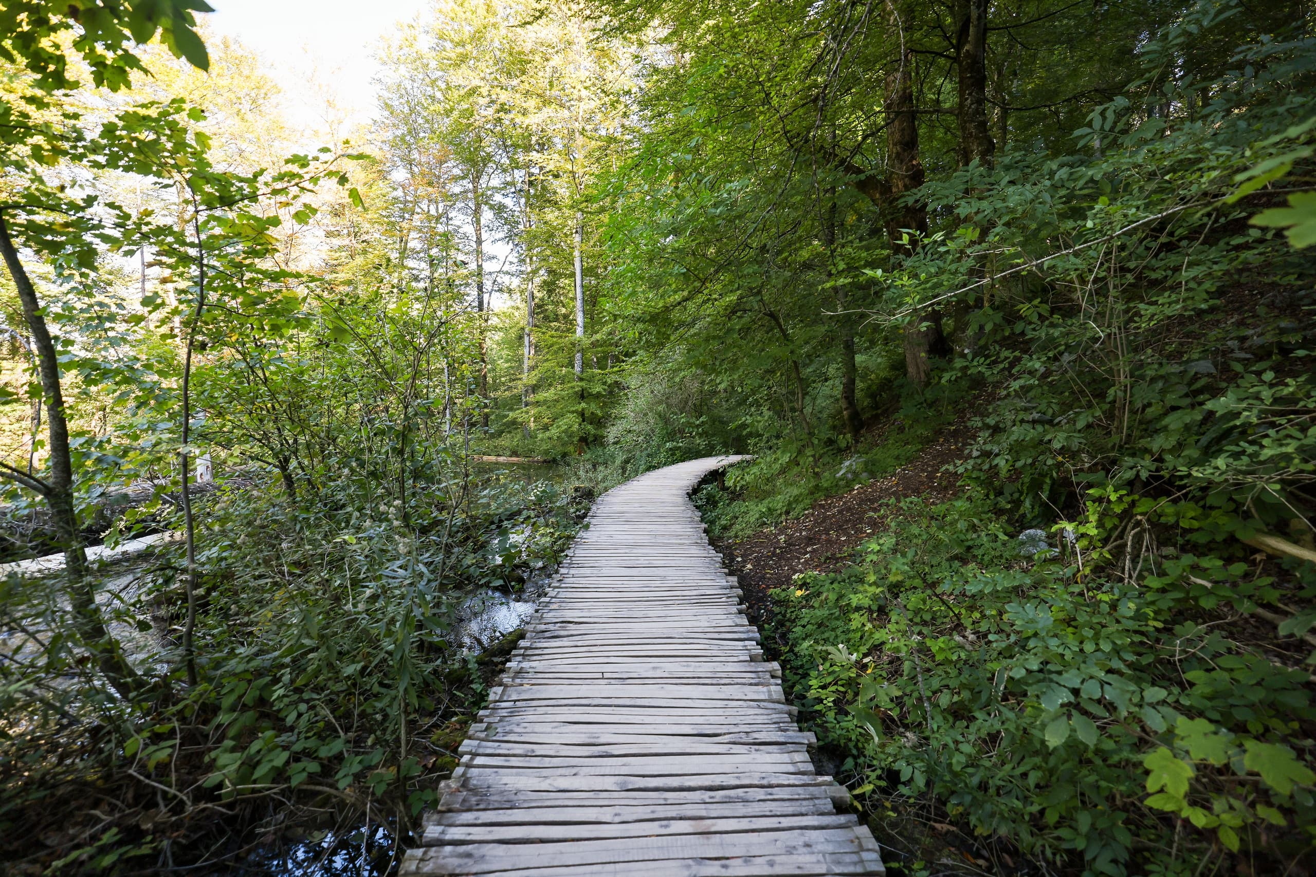 Zadar to Plitvice Lakes: A Guided Day Trip Through Croatia’s Turquoise Falls