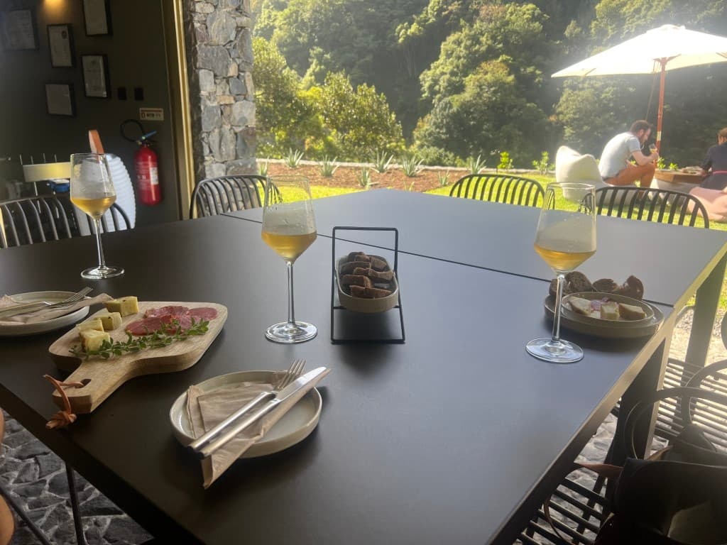 Exclusive Wine Tasting in Boaventura: Savor Madeira’s Northwest Vineyard Wonders