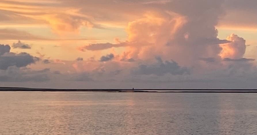 Sunrise Dolphin Tour near Tybee Island: Discover Hidden Marshes and Wildlife at Dawn