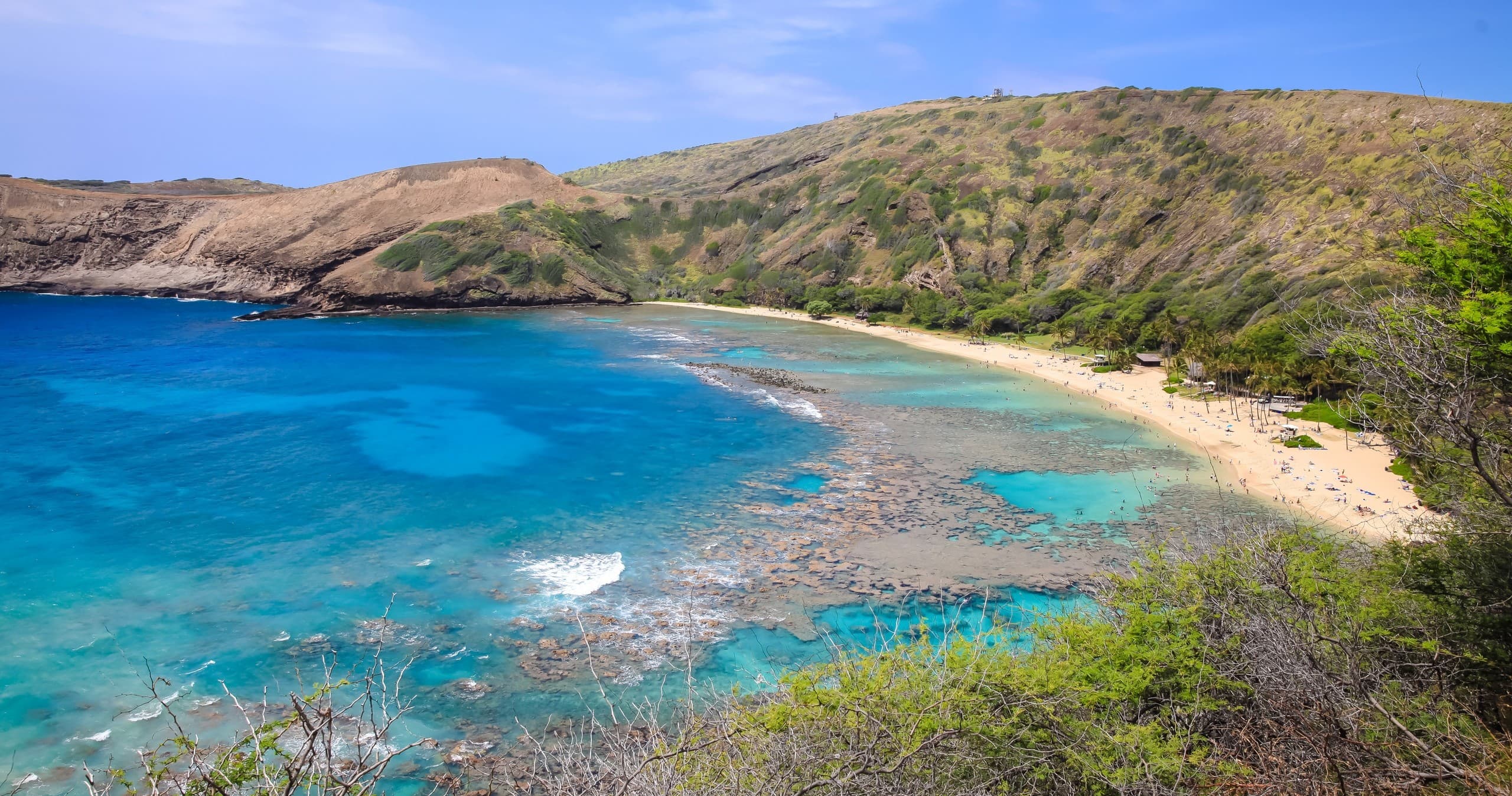 Honolulu Snorkel Company team