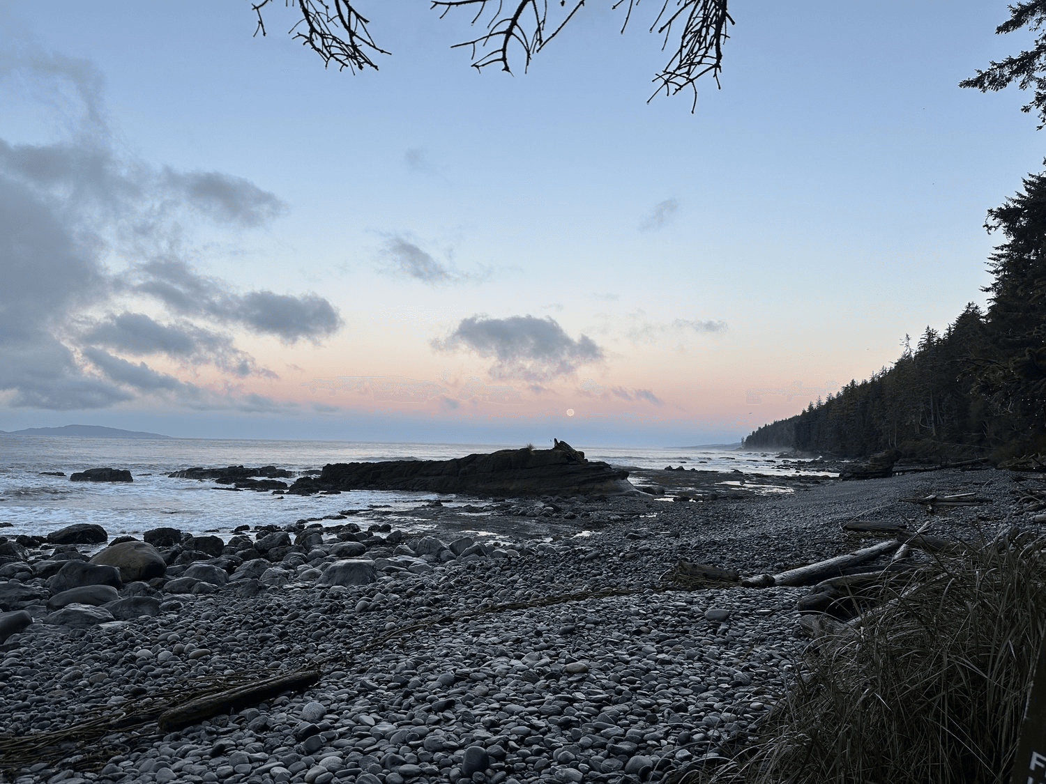 Hike the West Coast Trail in Port Renfrew, BC