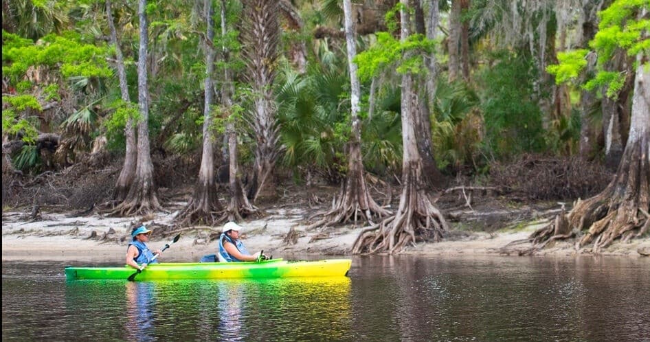 Two kayakers paddling a tree-lined creek at Fish Eating Creek