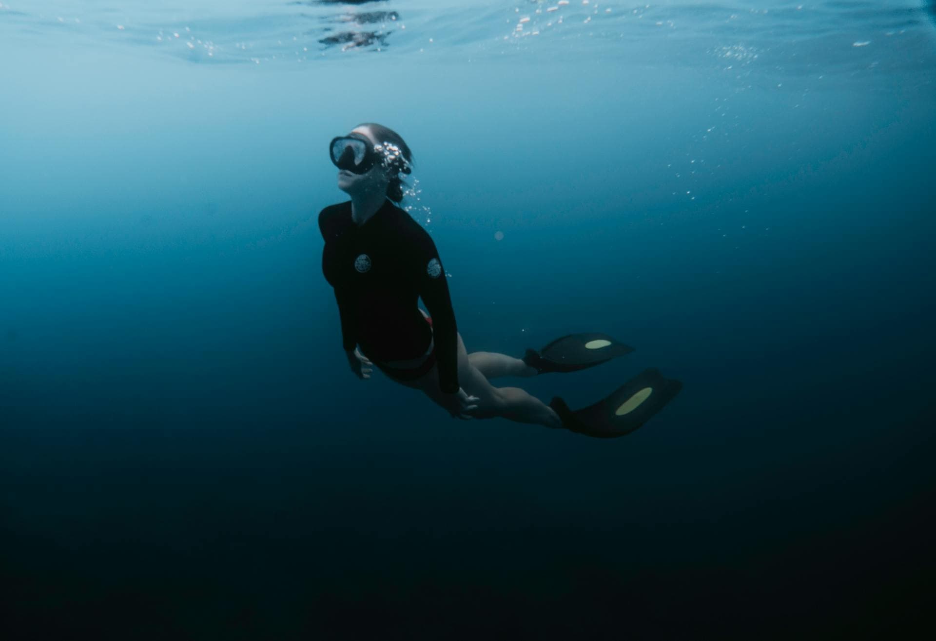 Sea Turtle Snorkel Tour at Byron Bay Dive Centre