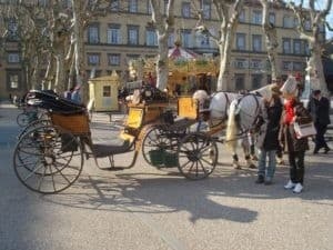 Private Carriage Tour on Lucca's Walls — 1-Hour Historic Ride in Tuscany photo 1