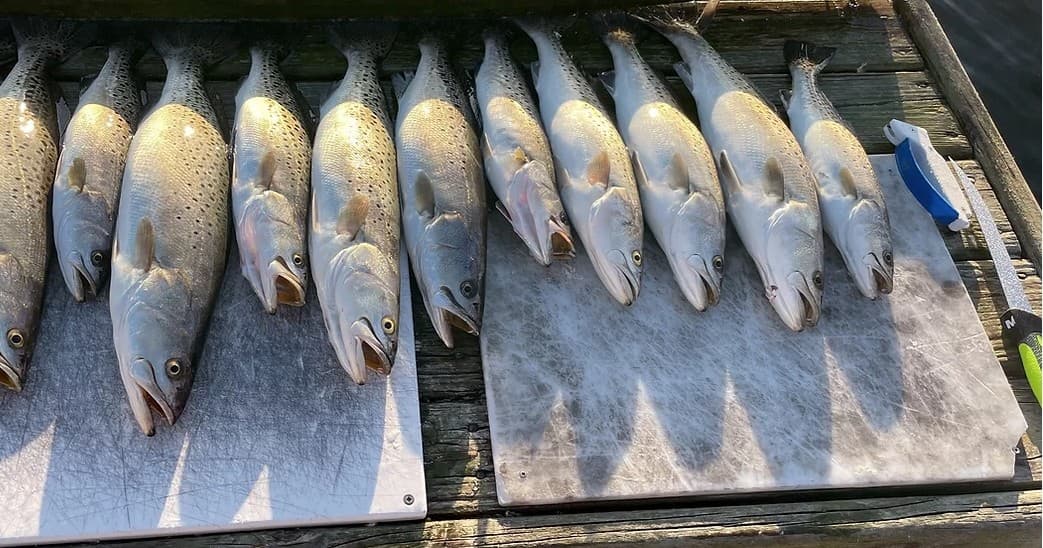 Dialed In Fishing Charters team