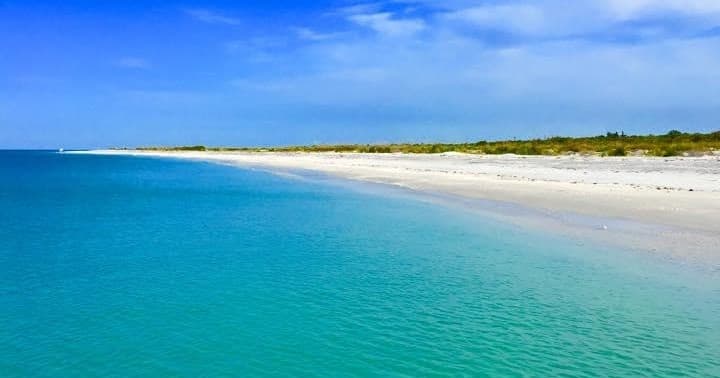 Scenic Coastal Cruise with Catch Me If U Can Fishing Charters in Fort Myers