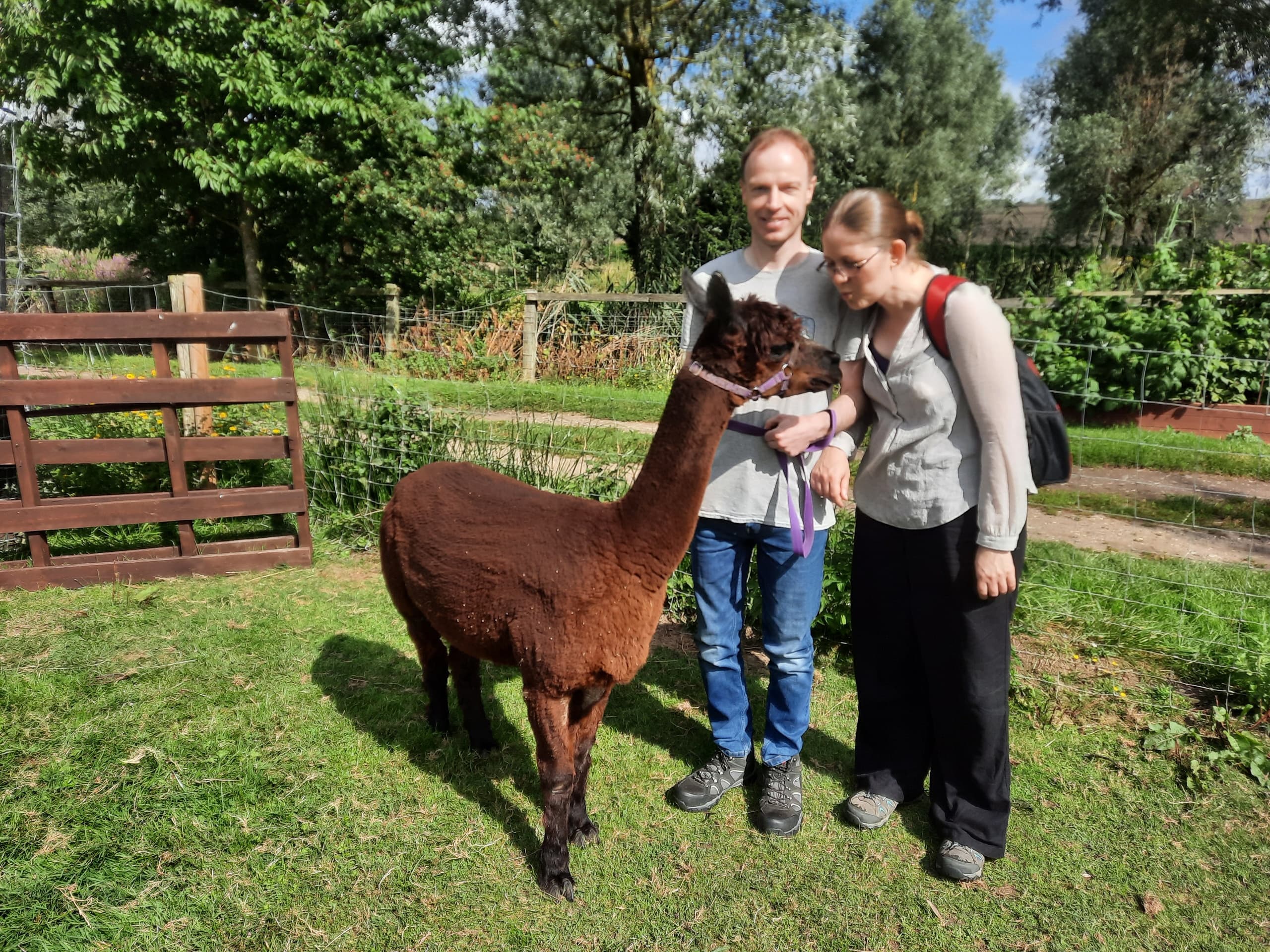 Private Farm Tour at Blackwater Alpacas & Pygmy Goats