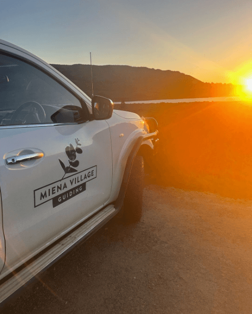 Fly Fishing Tasmania Lowlands with Miena Village Guiding