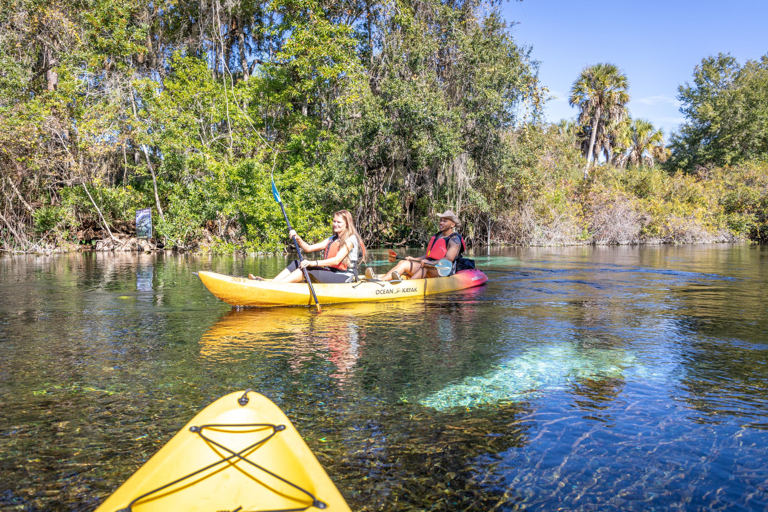 Kayakers paddling through crystal spring, bow foreground view