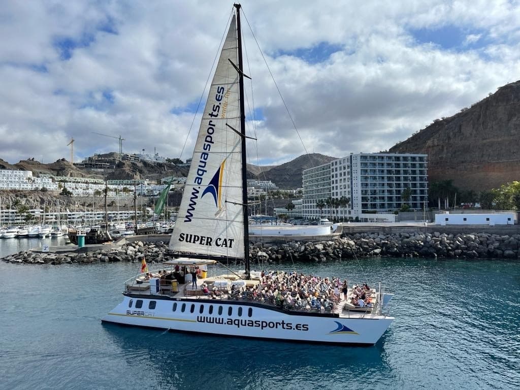 Dolphin Safari Gran Canaria - Explore Puerto Rico’s Coastline