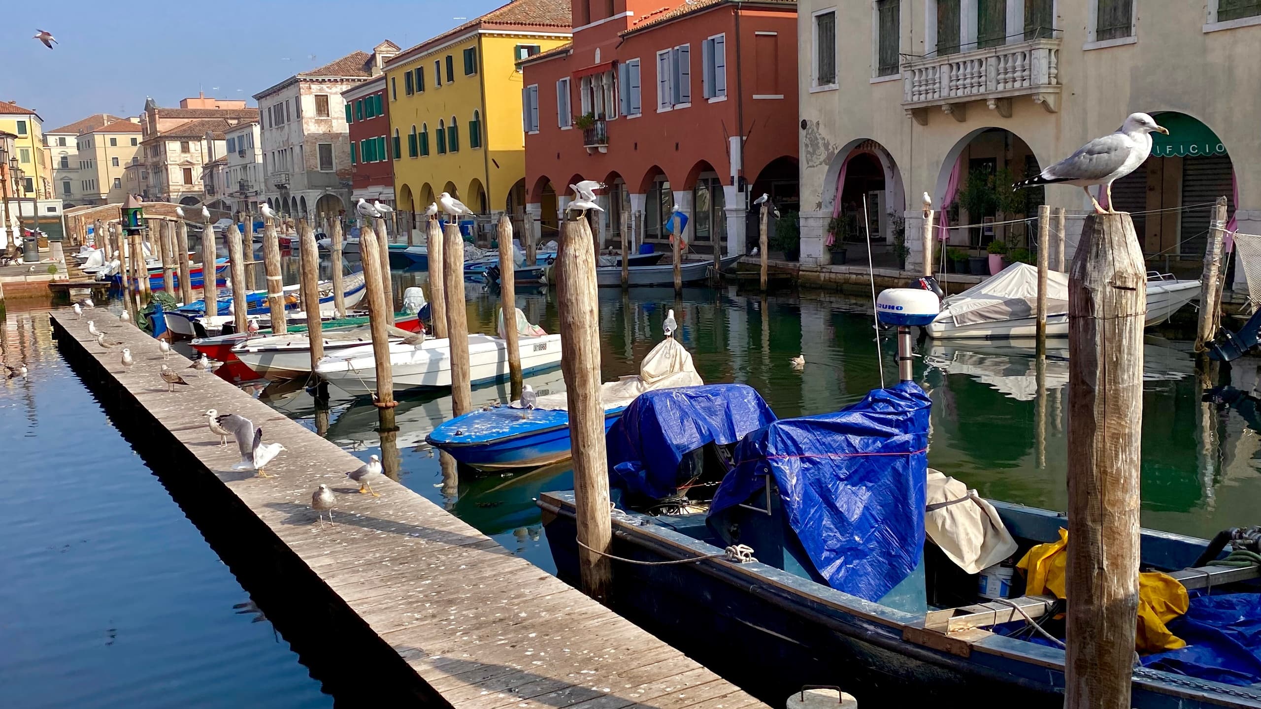 Colorful seaside canal with moored boats and waterfront buildings