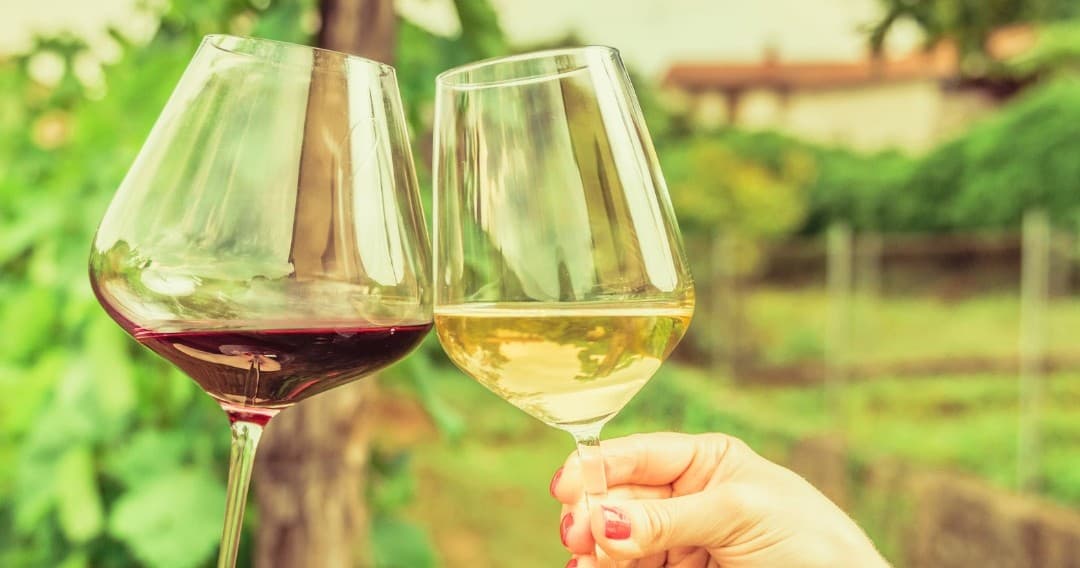 Wine & Food Immersion at Piedmont Farm with Natural Wines