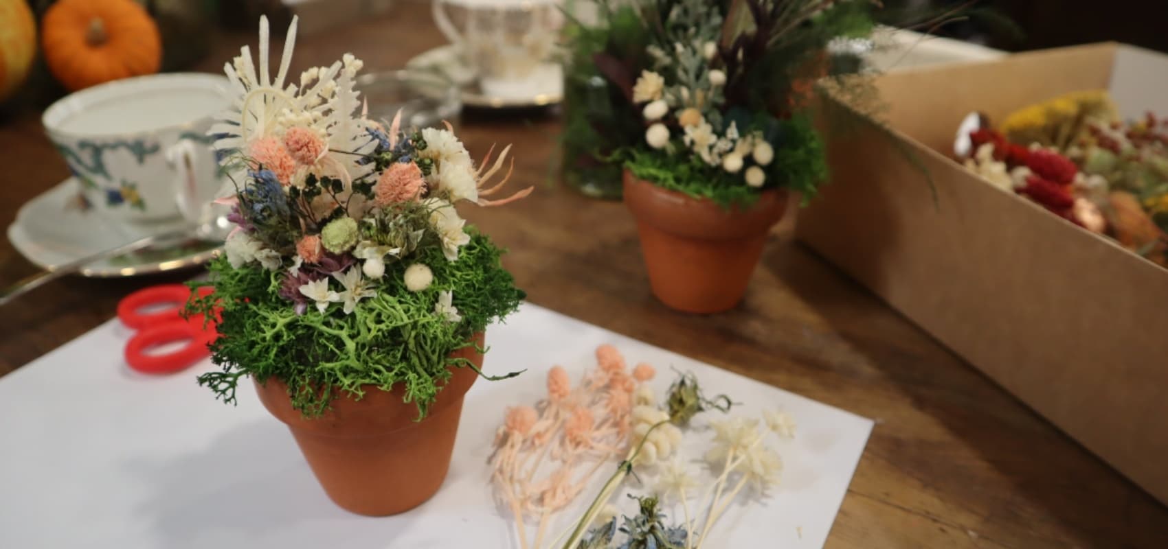 Mini Garden Crafternoon by Debbie Bryan in Nottingham