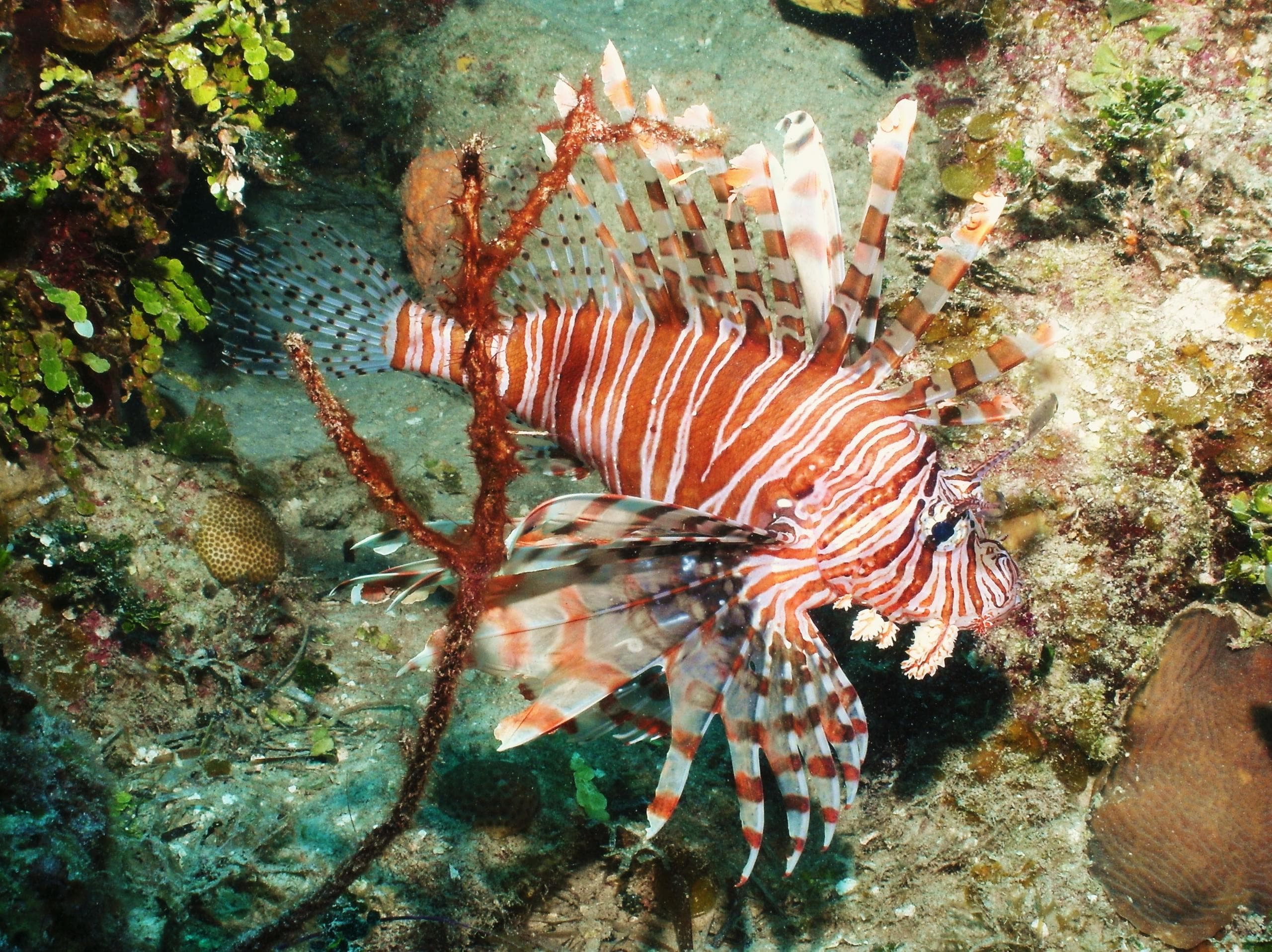 Lost Reef Adventures team