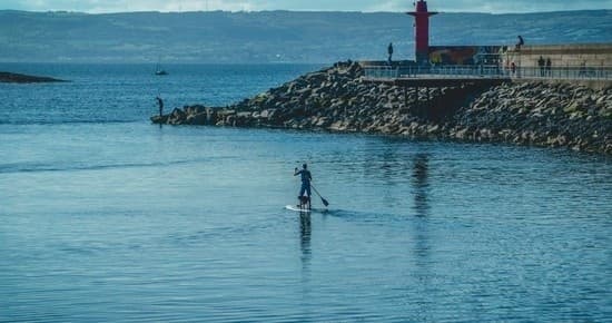 Explore Homosassa Springs on a Two-Hour Paddleboard Adventure