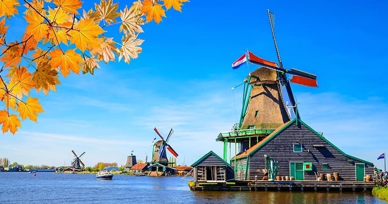 Dutch Countryside & Windmills Tour with Amsterdam Transfer Services