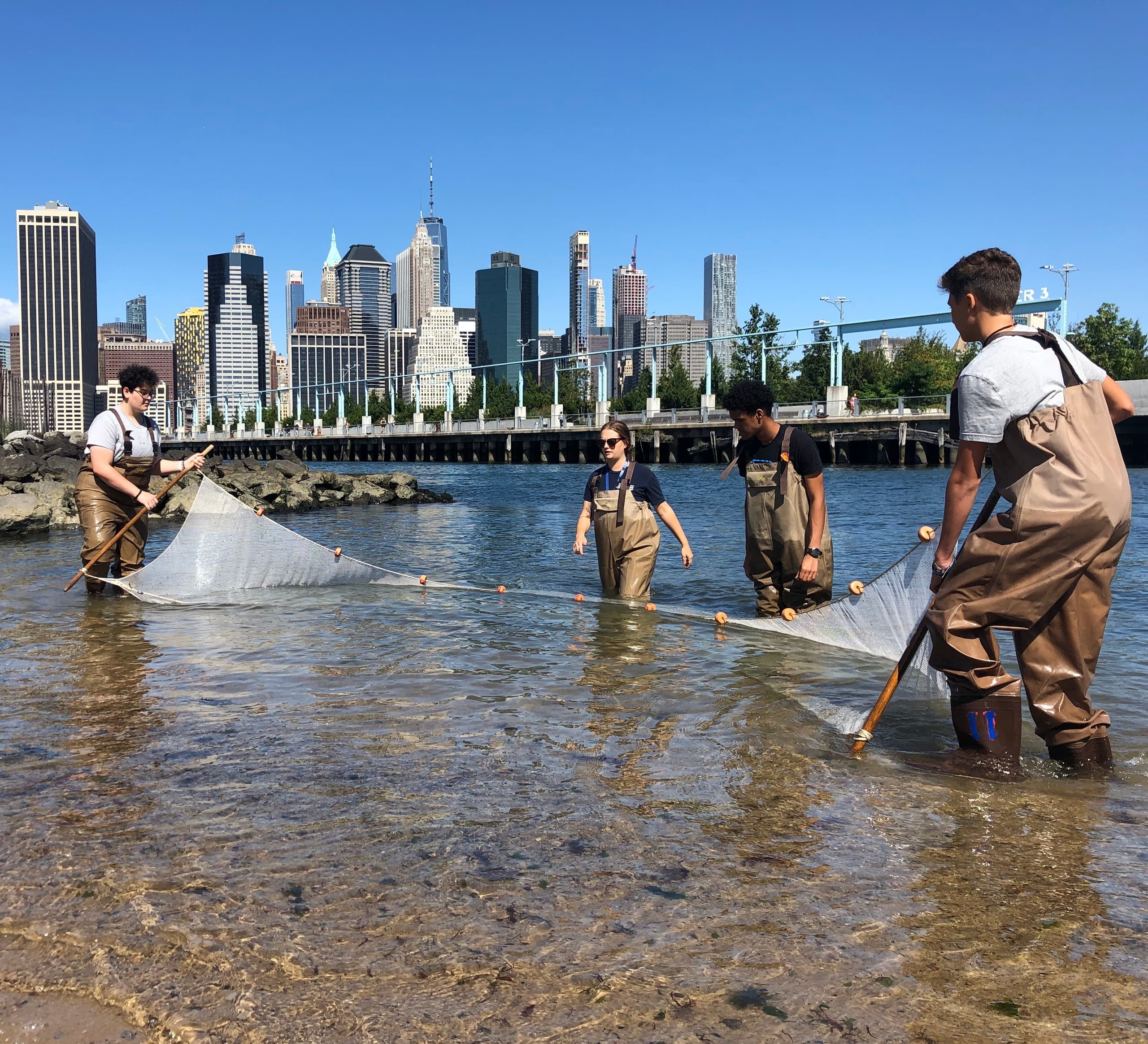 Water Activities with Brooklyn Bridge Park: Seining the River Wild