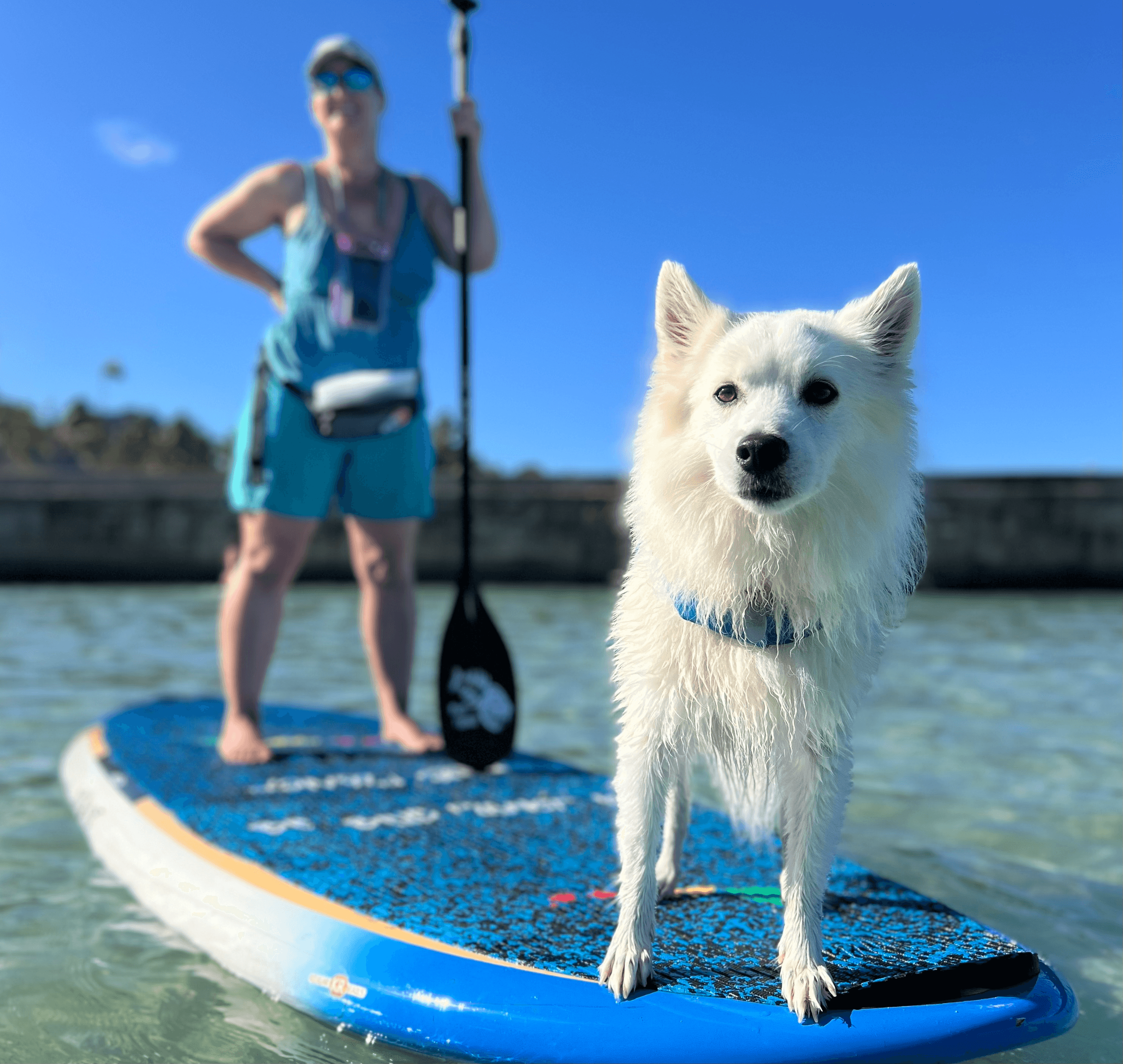 Water Activities & SUPDog Experience in Hawaii