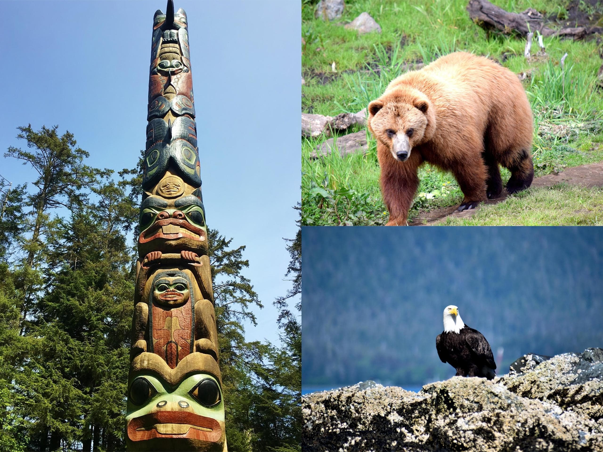 Wildlife & Nature Tour with Baranof Tours in Sitka