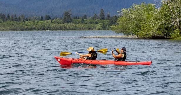 One-Hour Paddle Rentals at Lake Quinault Lodge: Kayak, Canoe & SUP on Glacier-Carved Water