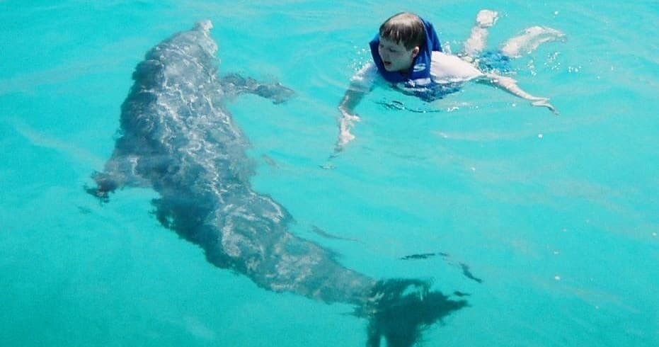 Swimmer interacting with dolphin in clear Panama City Beach water