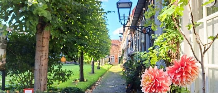 Urban Garden Walk in Groningen with Cicerones
