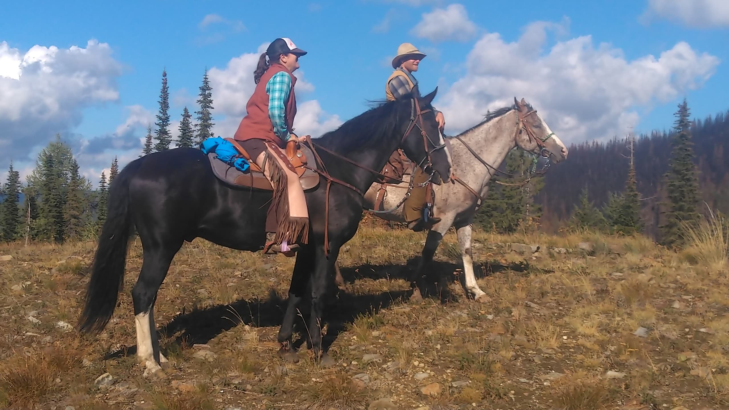 Mountain Horse Adventures fleet