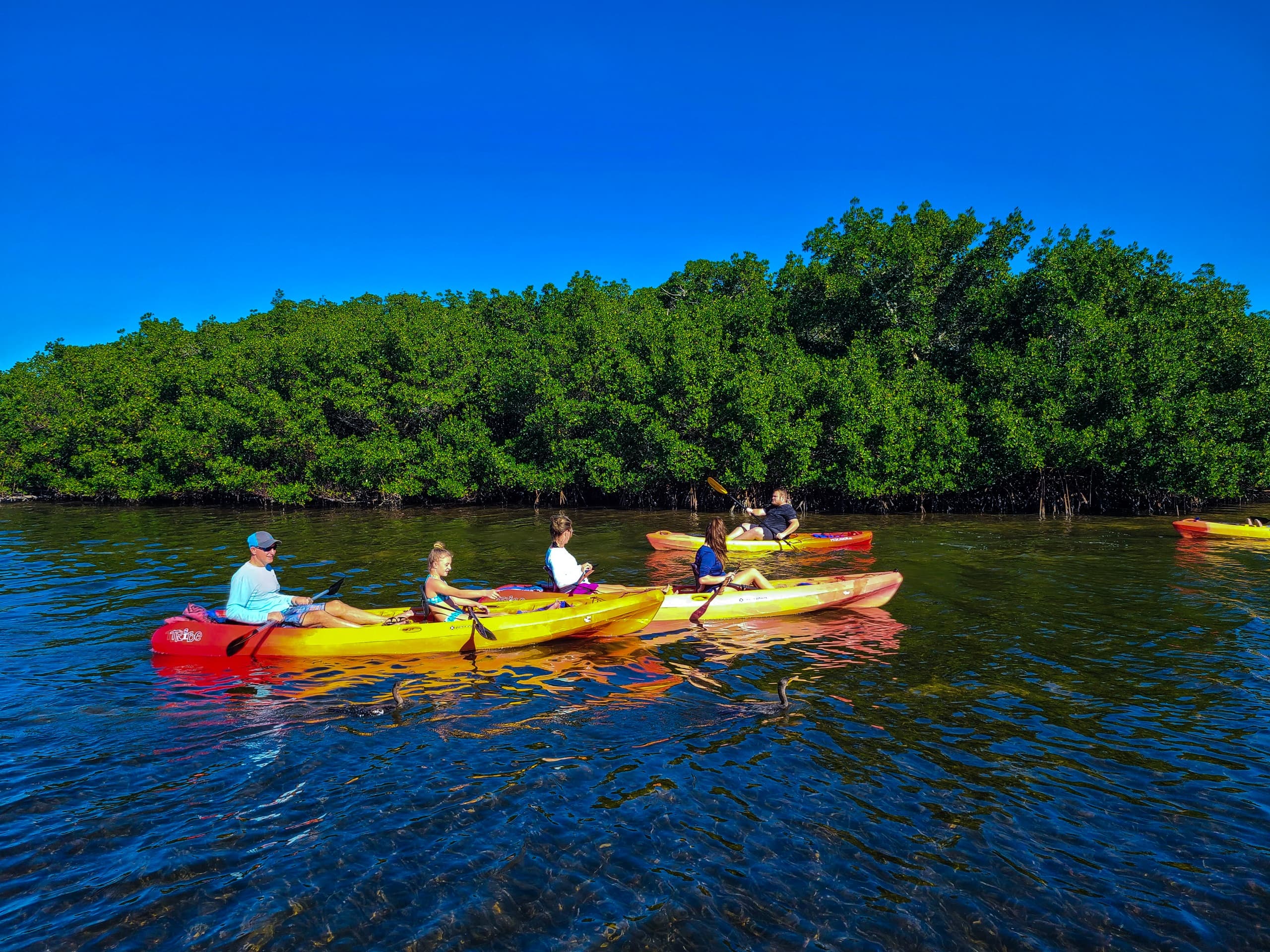 Siesta Key Kayak and Paddleboard Rentals in Sarasota, FL