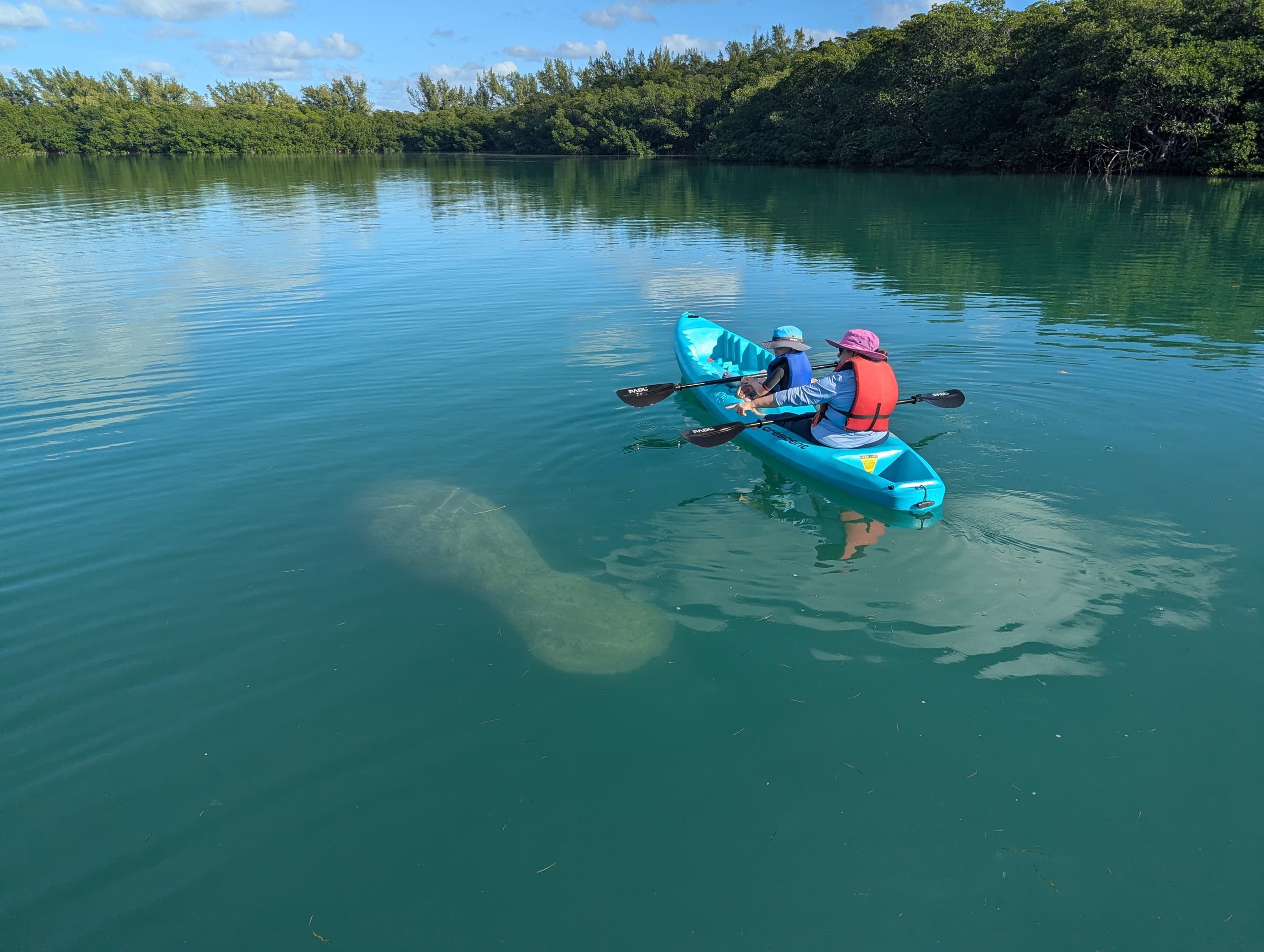 Explore Miami’s Biscayne Bay with Tandem Kayak Rentals at Virginia Key