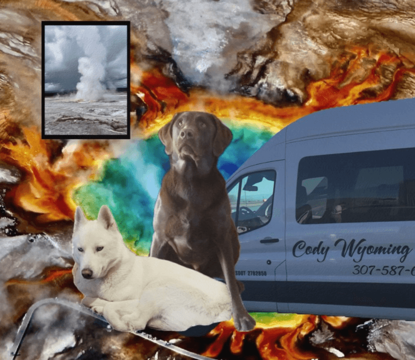 Private “Pet Friendly” Yellowstone “The Volcano Tours for Up To 4 Guests!