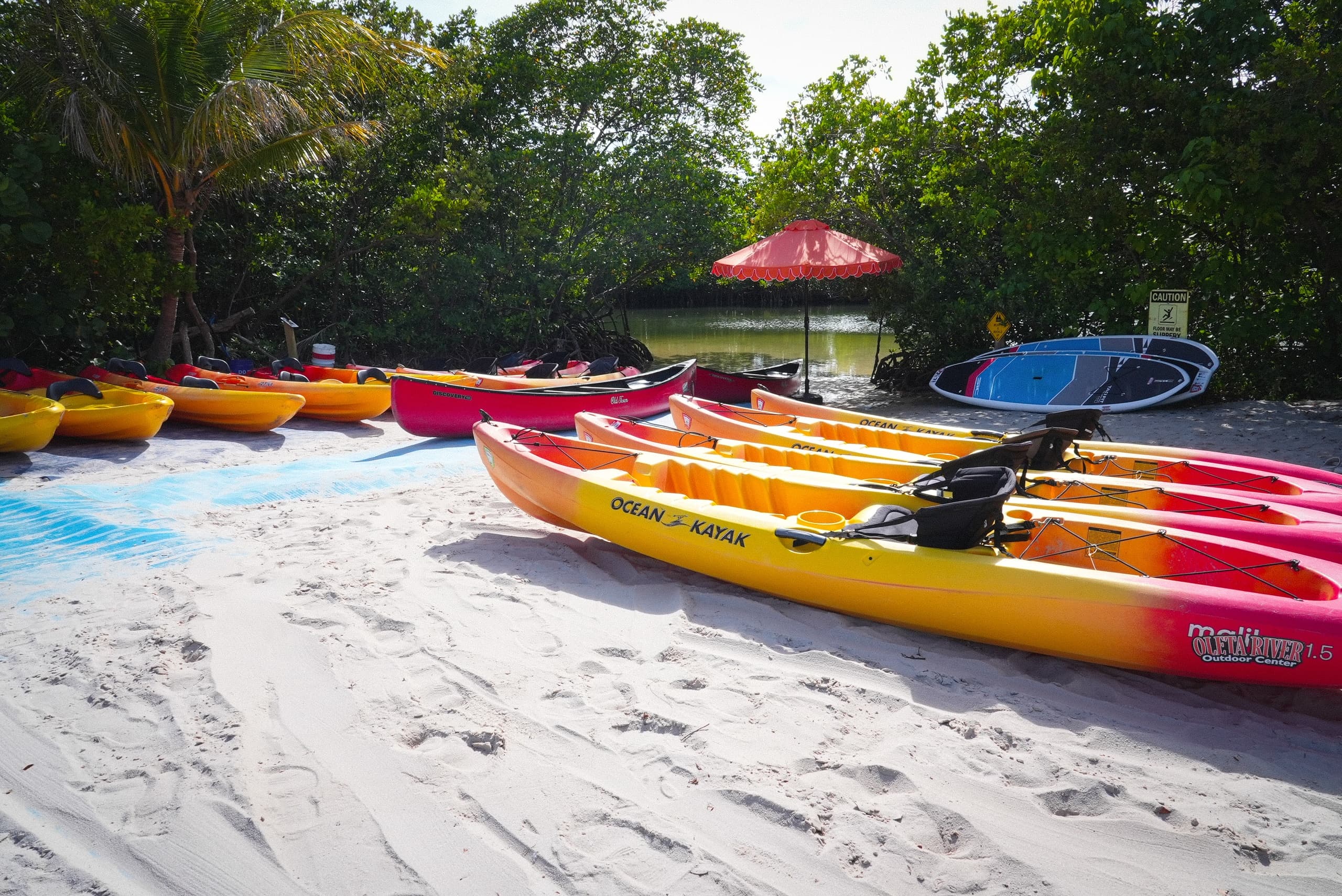 Colorful kayaks lined on white sandy beach, coastal mangrove launch