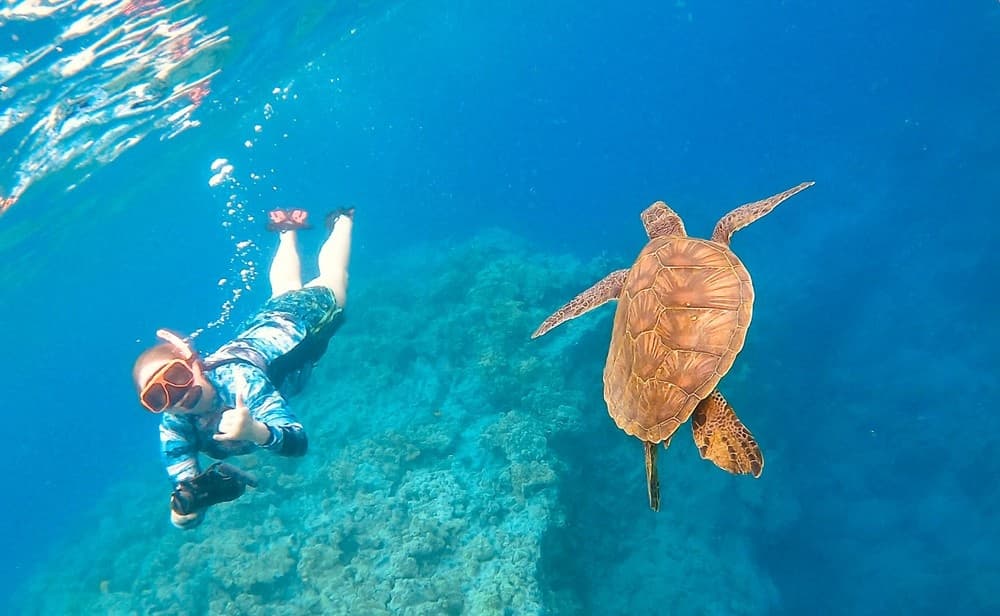 Water Activities: Kona Sea Scooter Snorkel Adventure