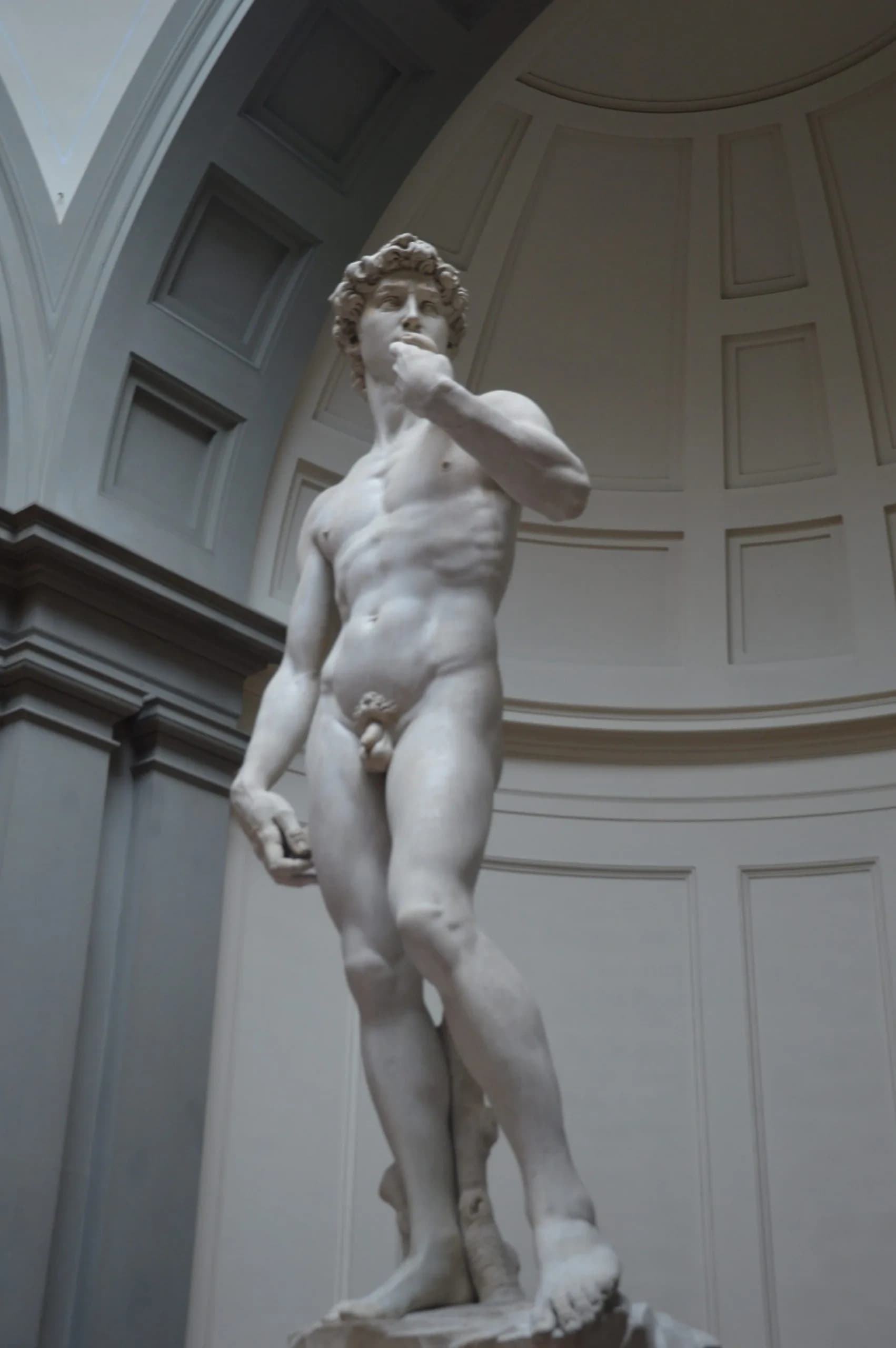 Uffizi and Academia Guided Tour: Stand Before David & The Birth of Venus in Florence