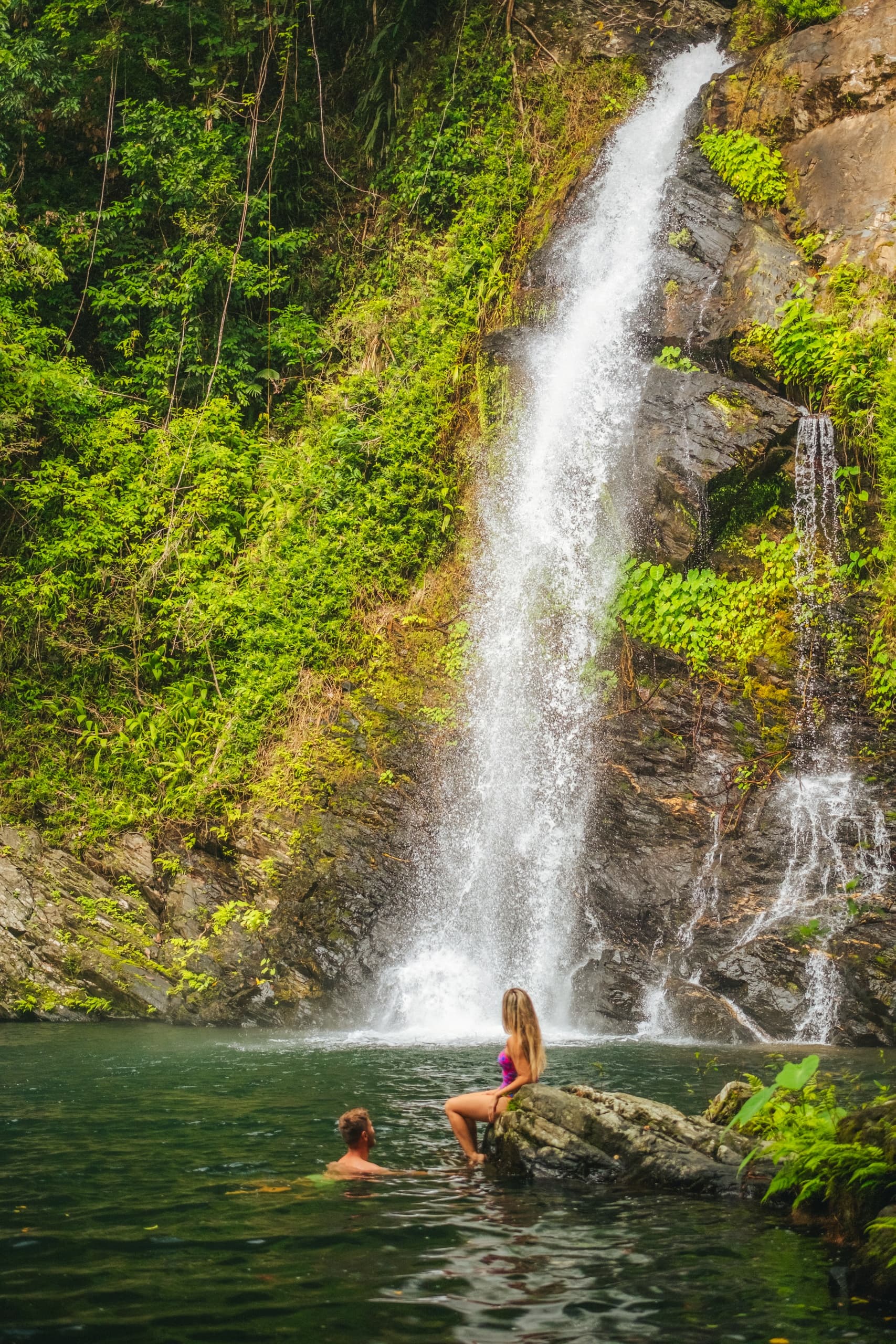 Cassowary Falls fleet