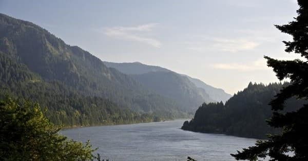 Wide river gorge view with forested ridges, panoramic scenic drive