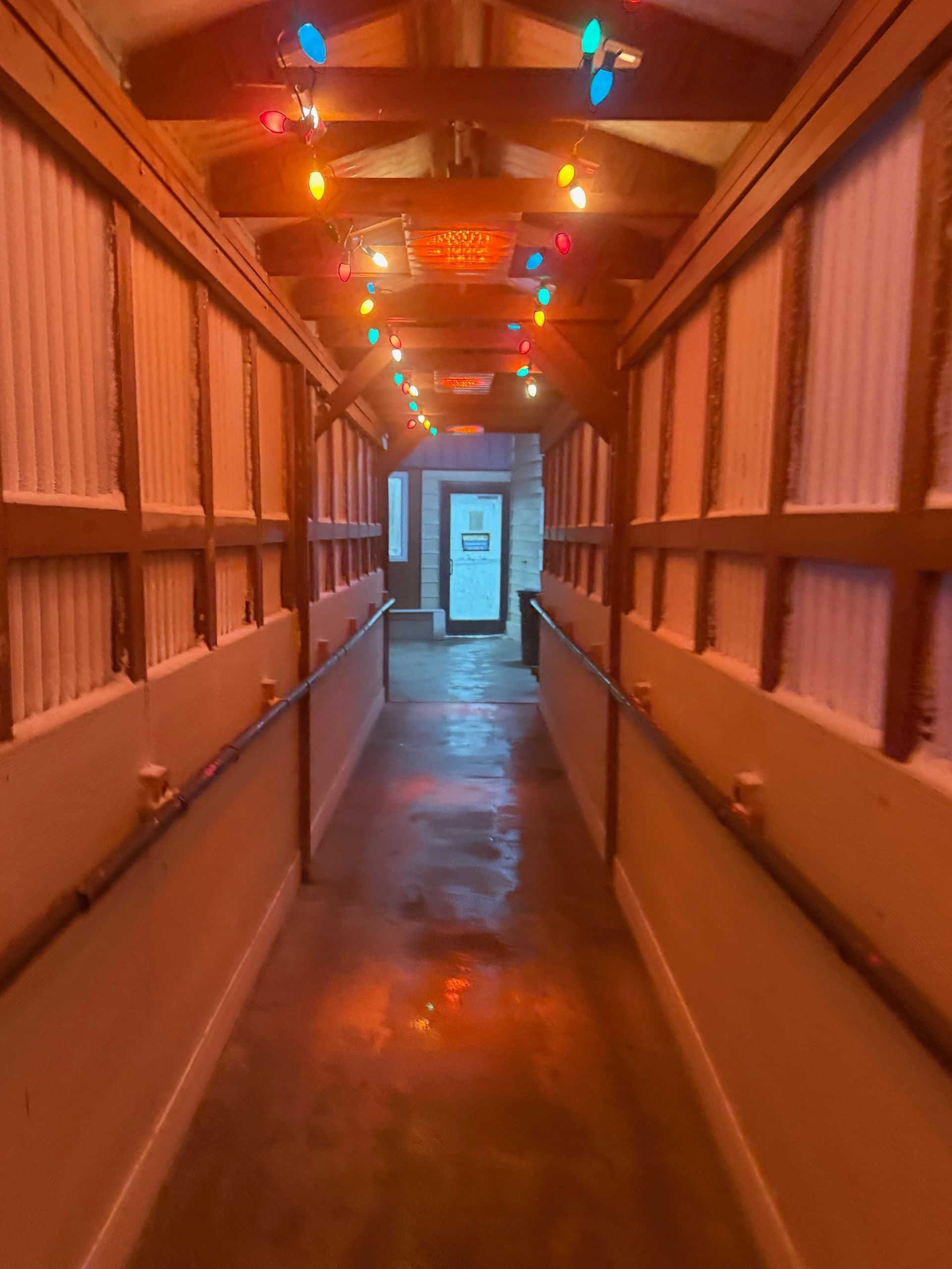 Skip the Drive: Fairbanks to Chena Hot Springs Round-Trip Shuttle photo 4