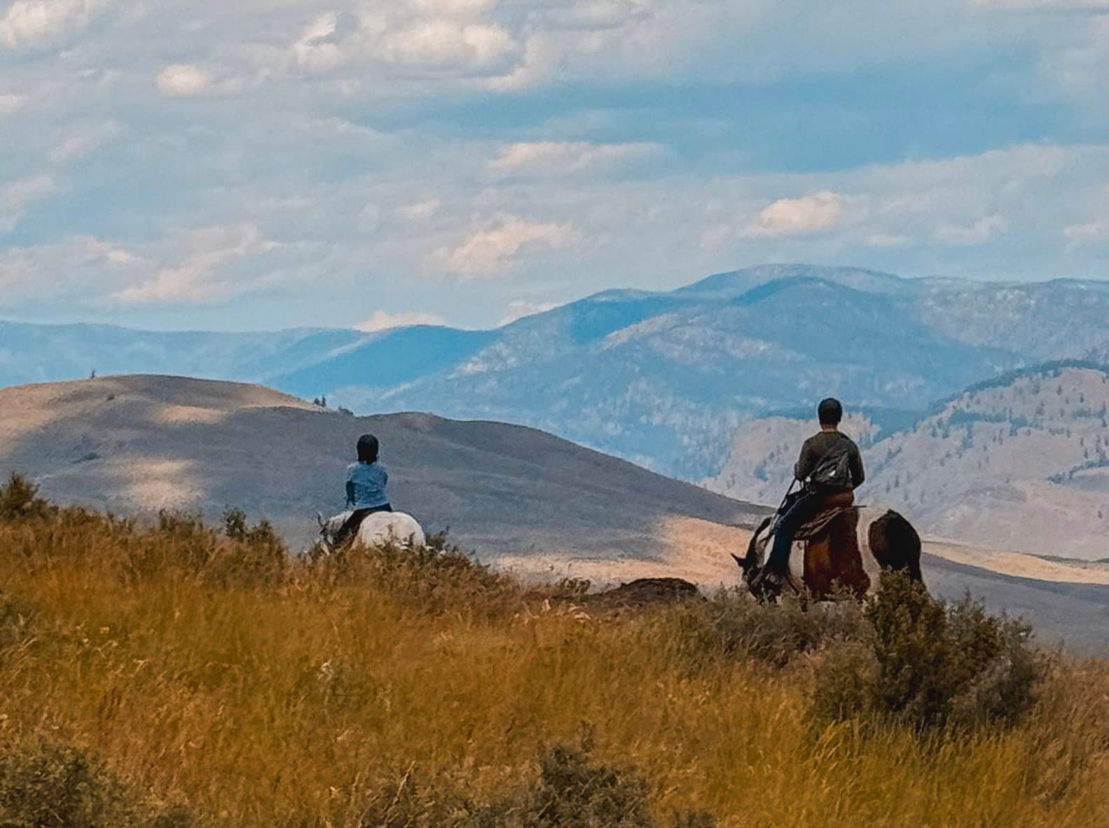Discover Scenic Trails with a Private 1 Hour Trail Ride near Winthrop, Washington
