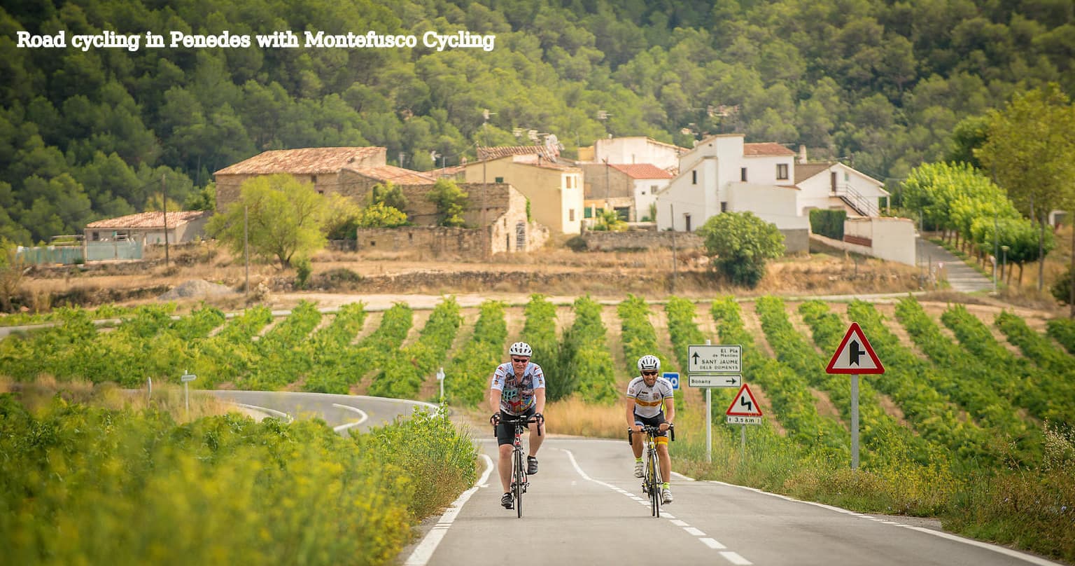 Cycling Wine Tours in Penedes Near Barcelona