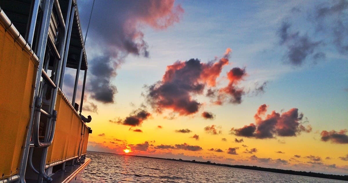 Sunset Dolphin & Wildlife Cruise with Adventure in Paradise: Sanibel Marina