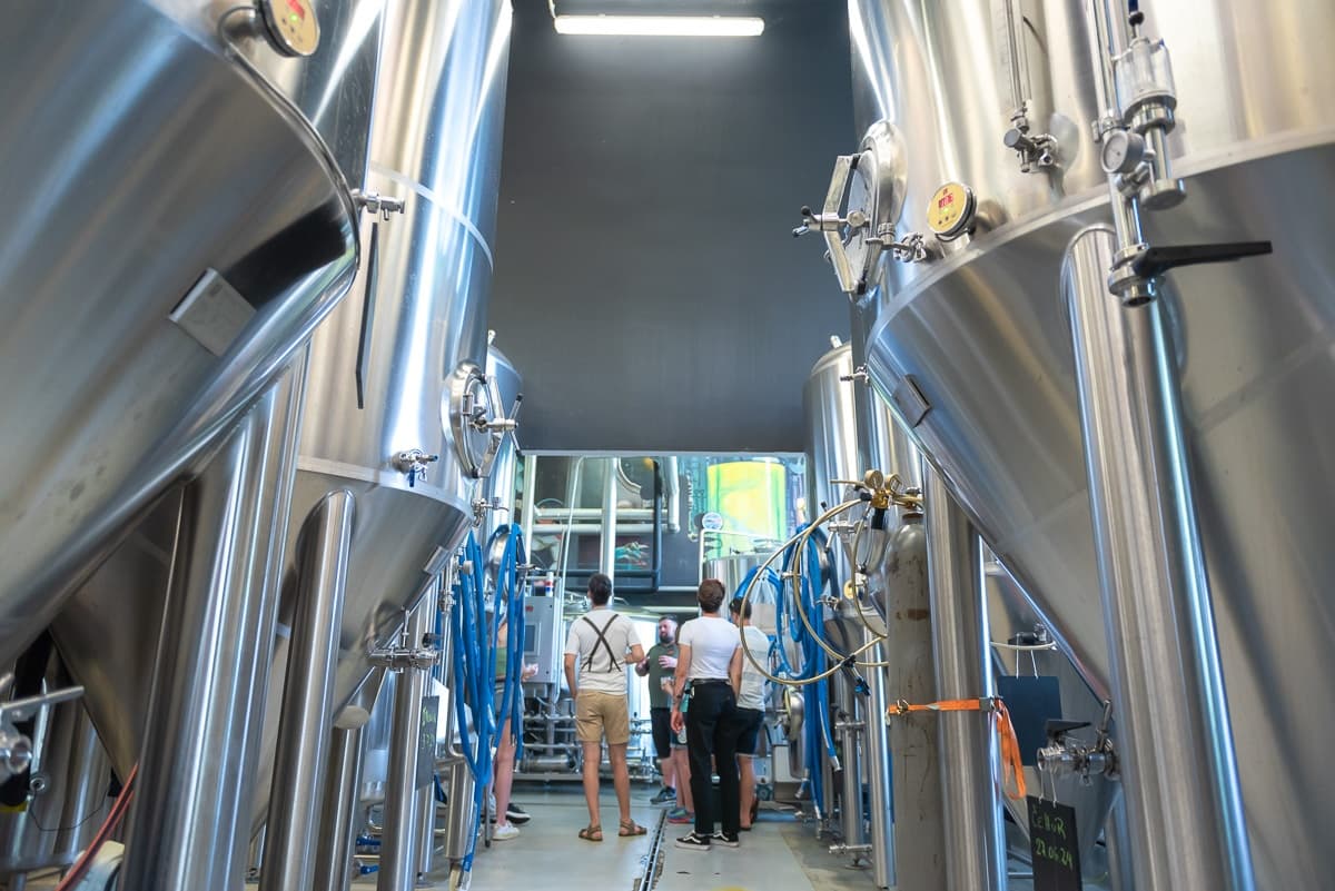 Craft Beer Insights with Beer Way Slovenia in Ljubljana