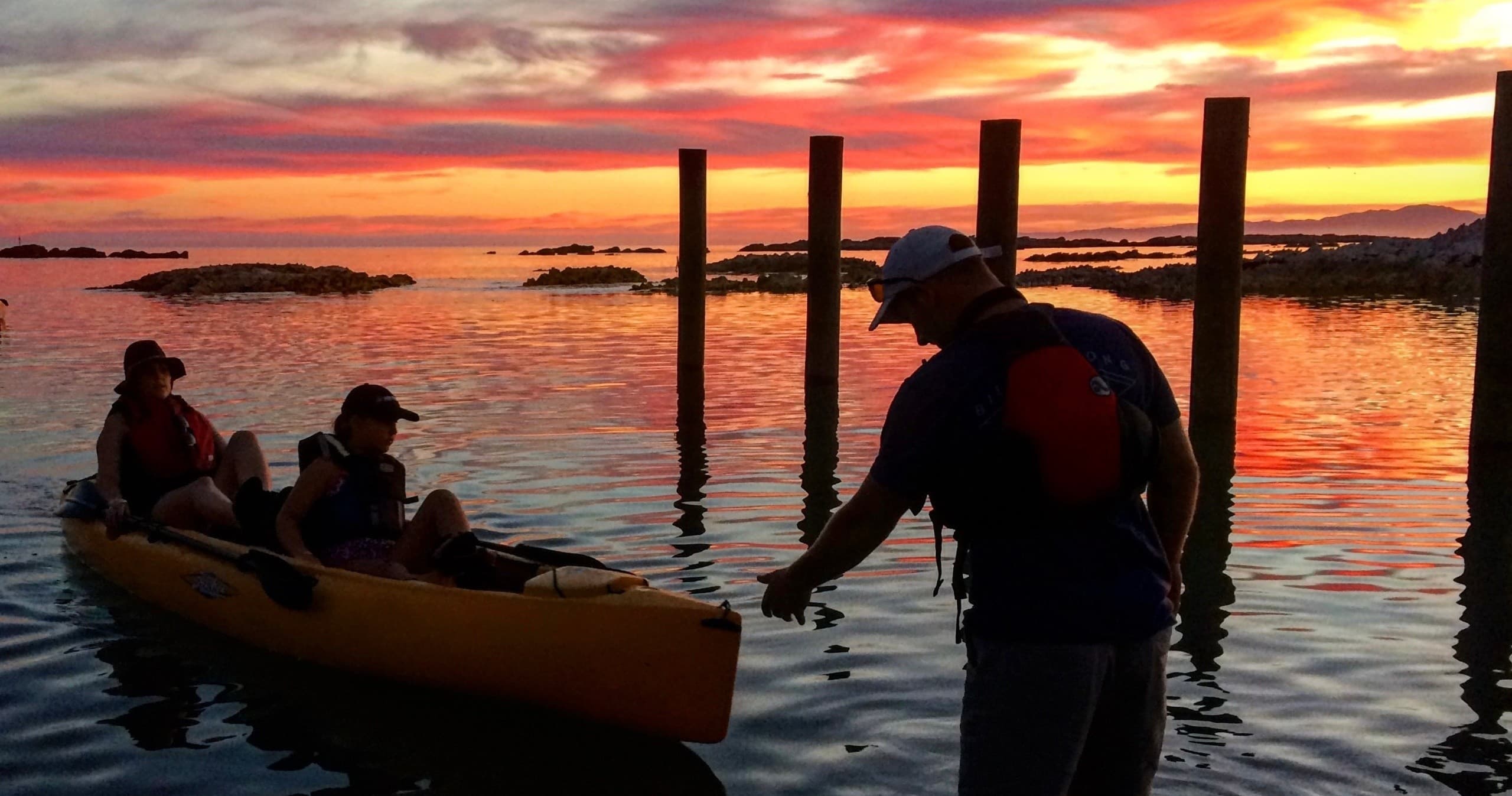 Kayaking & Wildlife at Seal Kayak Kaikoura