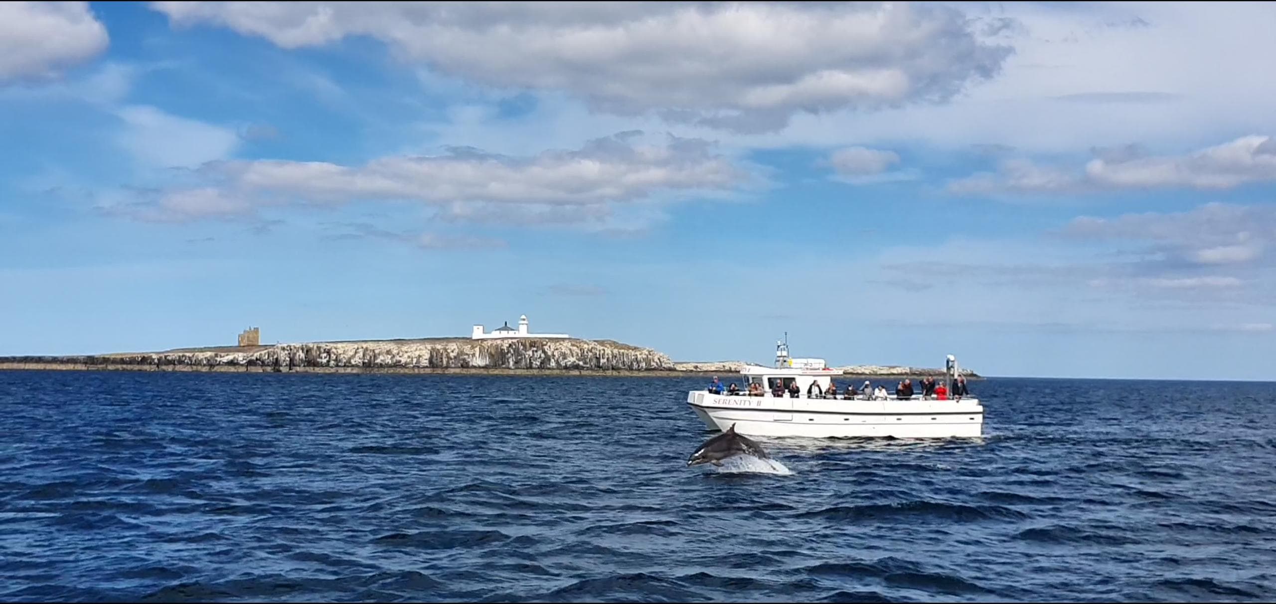 Tour boat cruising past rocky island cliffs on Farne Islands sea