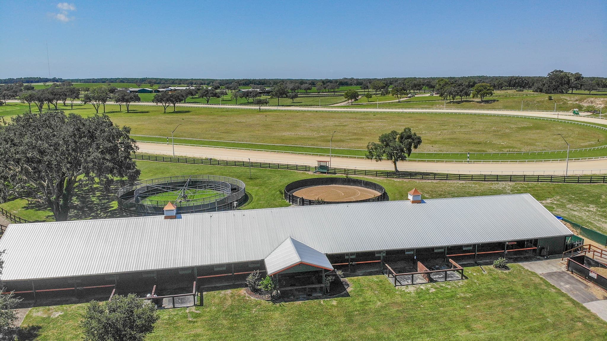 Inside Oak Ridge Training Center: Tour a Working Thoroughbred Farm Near Bronson, FL photo 1