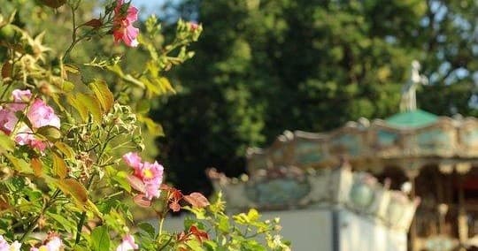 Paris in Person: Montmartre Private Tour Experience