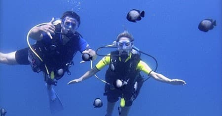 Water Activities at Wailea Scuba, Surf & Paddle: Shore Dive Adventure in Maui