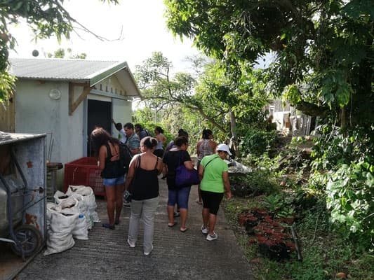 Wildlife & Water Activities with Pelican Safari Tour in Guadeloupe